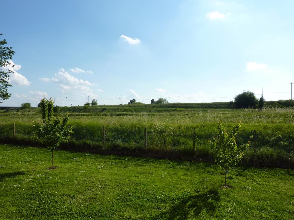 Azienda Agricola Marin Este Extérieur photo